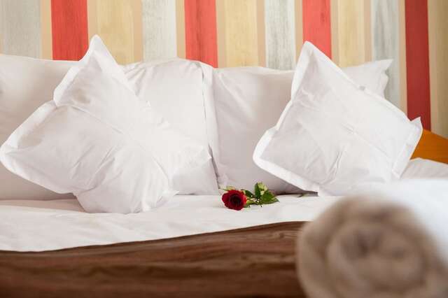 Отель Hotel Class Hermannstadt Сибиу-10